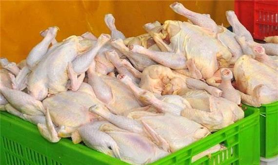 توزیع گوشت مرغ با قیمت 18 هزار و 500 تومان در میادین میوه و تره بار تهران