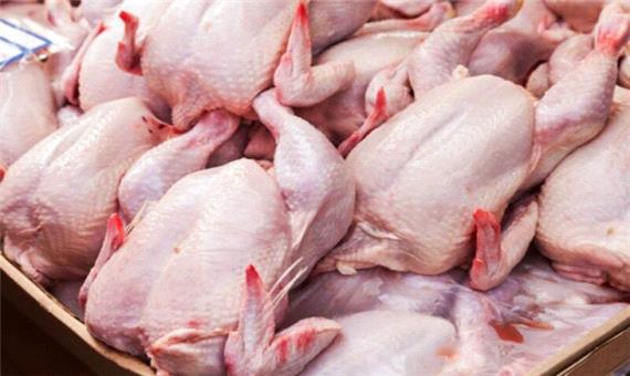103 پرونده تعزیراتی مرتبط با قیمت مرغ در مشهد تشکیل شد