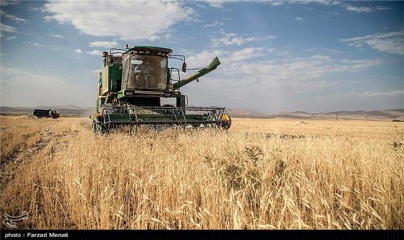 کشت پائیزه گندم در خراسان شمالی؛ کشاورزان وام 20 میلیون تومانی می‌گیرند