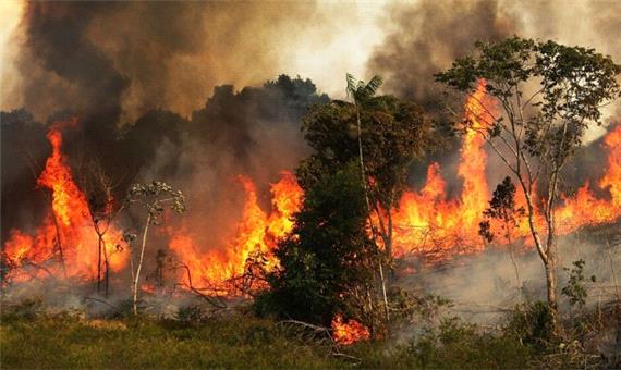 آتش دوباره به جان پارک ملی گلستان افتاد/وقوع بیش از 10 آتش سوزی از ابتدای سال