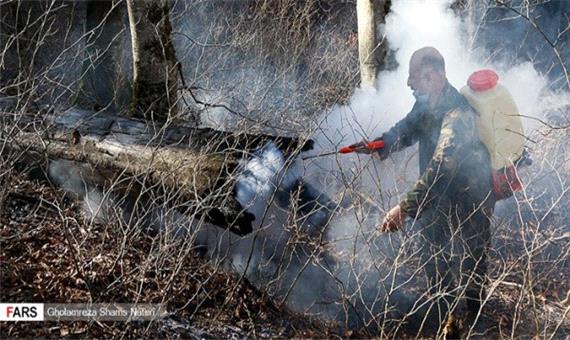 آتش‌باران جنگل‌های هیرکانی در 24 ساعت گذشته/ بیش از 30 فقره آتش‌سوزی در جنگل‌های مازندران