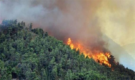 طباطبایی: آماده مساعدت جهت تسهیل در مهار آتش سوزی جنگل‌های حیران هستیم