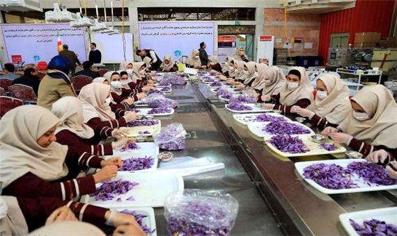 کارخانه نوآوری زعفران باخرز در فروردین 1400 افتتاح می‌شود/تولید سالانه بیش از 20 تن زعفران در باخرز
