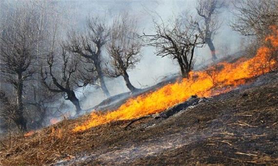 از دست رفتن 600 هکتار از جنگل ها و مراتع گچساران در آتش‌ سوزی پارسال