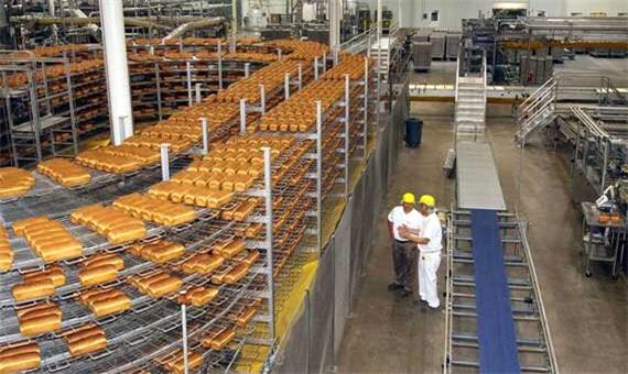 نیاز هر شهرستان خراسان شمالی به یک مجتمع نان صنعتی