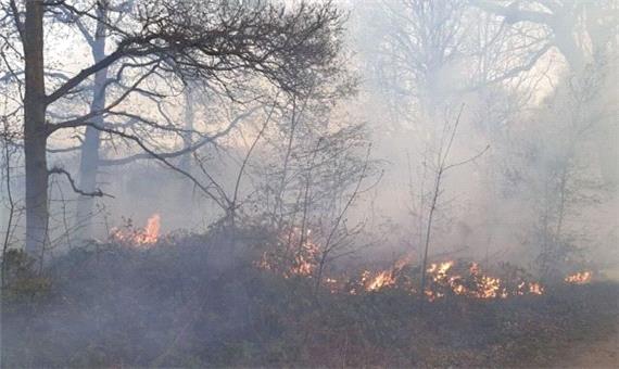 2 فقره آتش سوزی در جنگل های باشت مهار شد