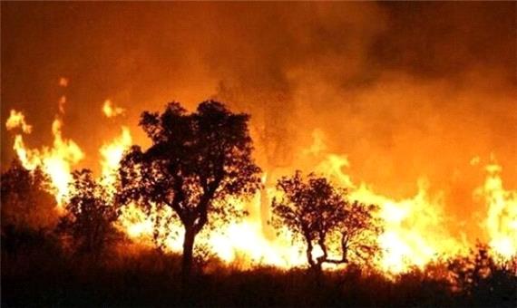 شمار قربانیان آتش سوزی جنگل های الجزایر به 36 نفر رسید