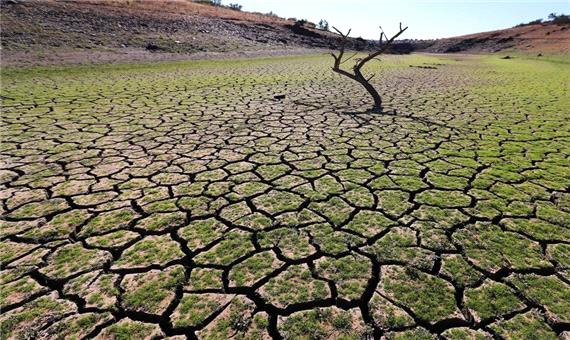 خشکسالی بیش از 8 هزار و 700 میلیارد تومان به کشاورزی خراسان رضوی خسارت زد