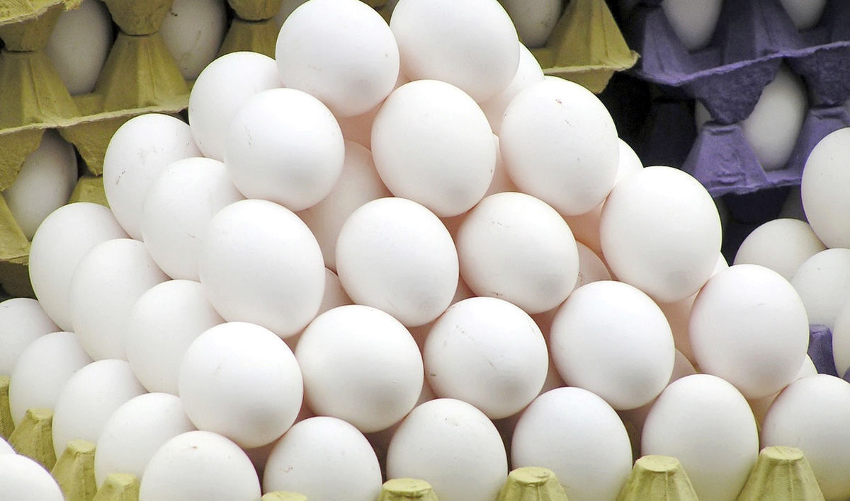 مشوق‌های صادراتی تخم‌مرغ برای حمایت از تولیدکنندگان است